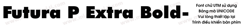 Futura P Extra Bold字体转换